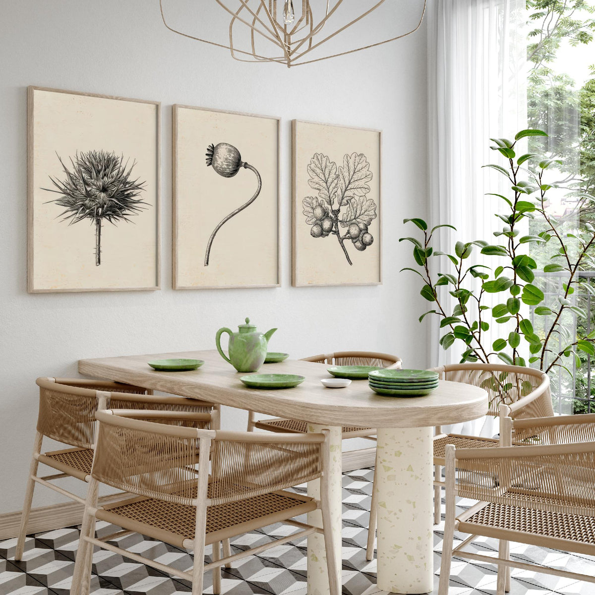 Thistle, Poppy Seed Head and Oak Acorn Sprig Poster - Botanical Pencil Sketch Set of Three Art Prints - Monochrome Nature Drawing V2