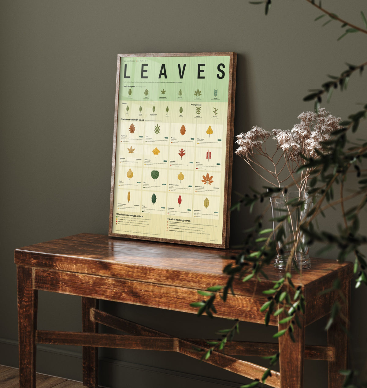 British Tree Leaves Art Print - Leaf Identification Guide Poster - Educational Illustration - Nature Lover Gift 1/3