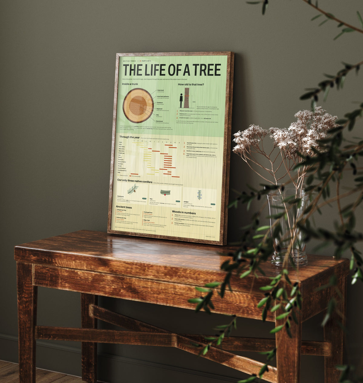 Life of a Tree Art Print - Tree Rings and Seasons Guide Poster - Educational Illustration - Woodland Lover Gift 3/3