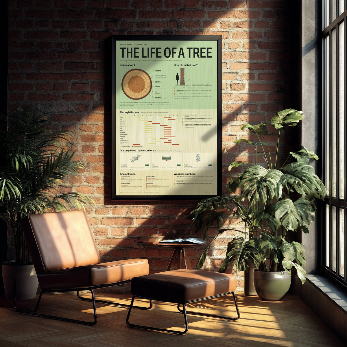 Life of a Tree Art Print - Tree Rings and Seasons Guide Poster - Educational Illustration - Woodland Lover Gift 3/3