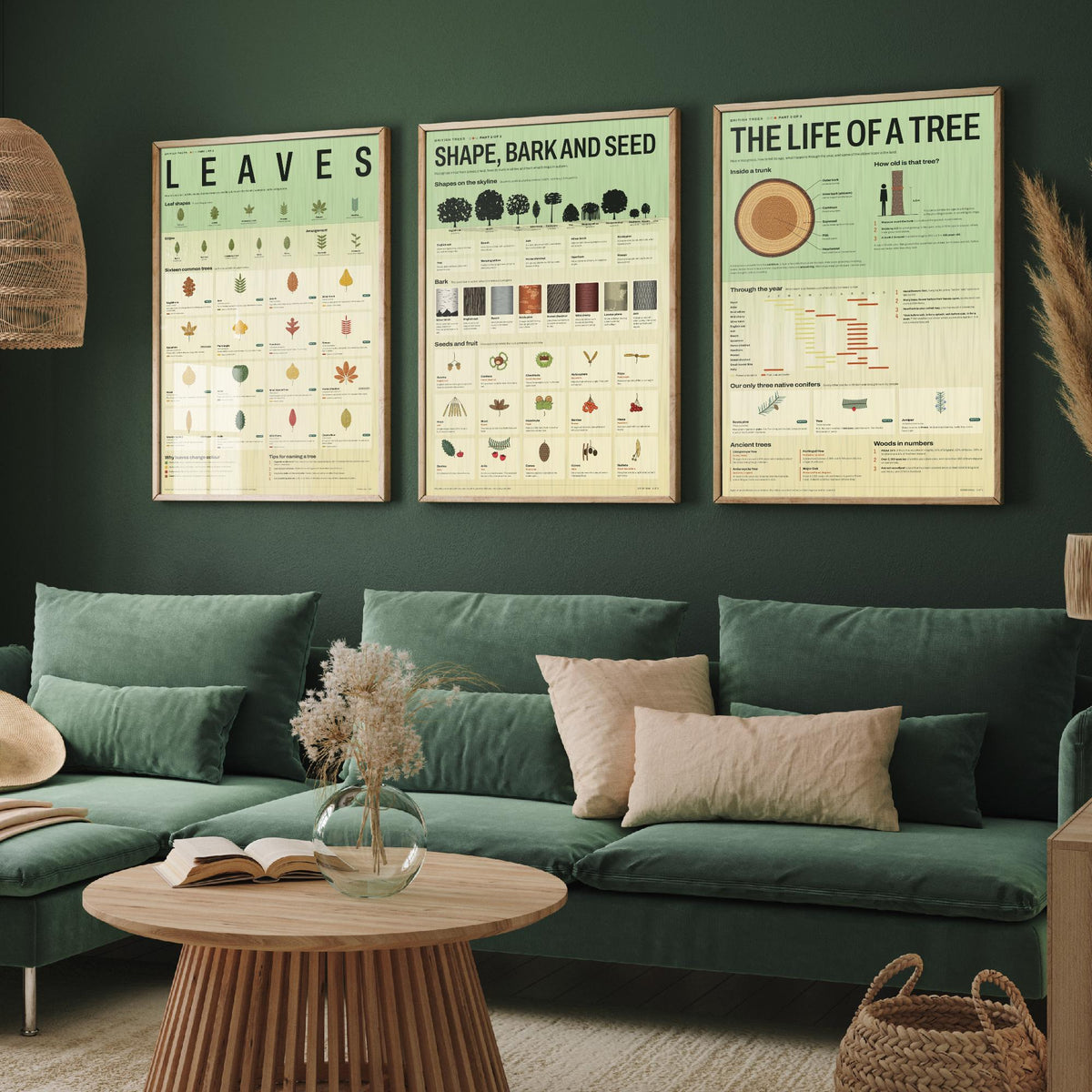 British Trees Set of Three Art Prints - Leaves, Shape Bark and Seed, The Life of a Tree - Nature Infographic Poster Illustration