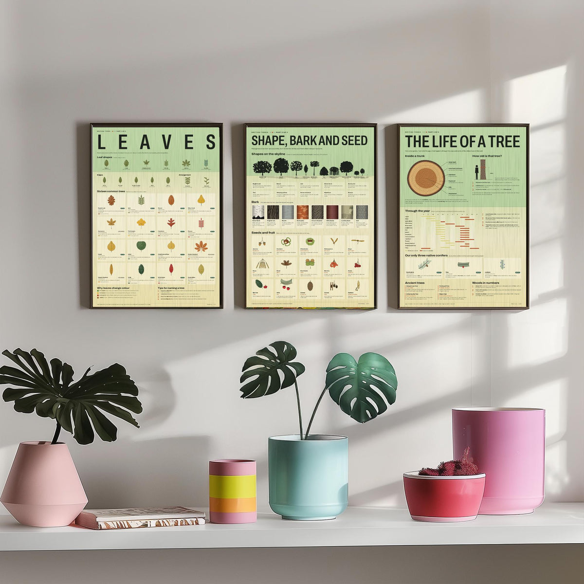 British Trees Set of Three Art Prints - Leaves, Shape Bark and Seed, The Life of a Tree - Nature Infographic Poster Illustration