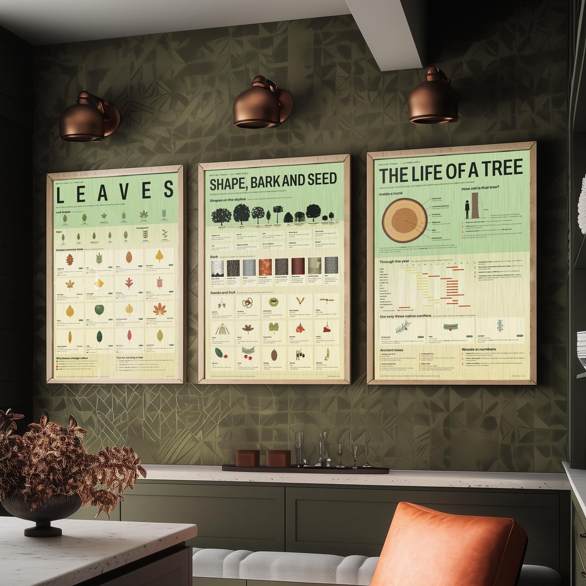 British Trees Set of Three Art Prints - Leaves, Shape Bark and Seed, The Life of a Tree - Nature Infographic Poster Illustration