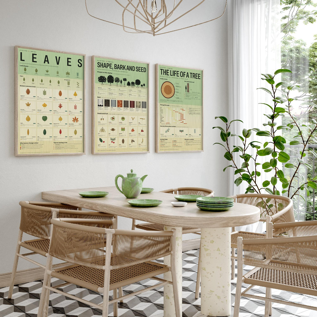 British Trees Set of Three Art Prints - Leaves, Shape Bark and Seed, The Life of a Tree - Nature Infographic Poster Illustration