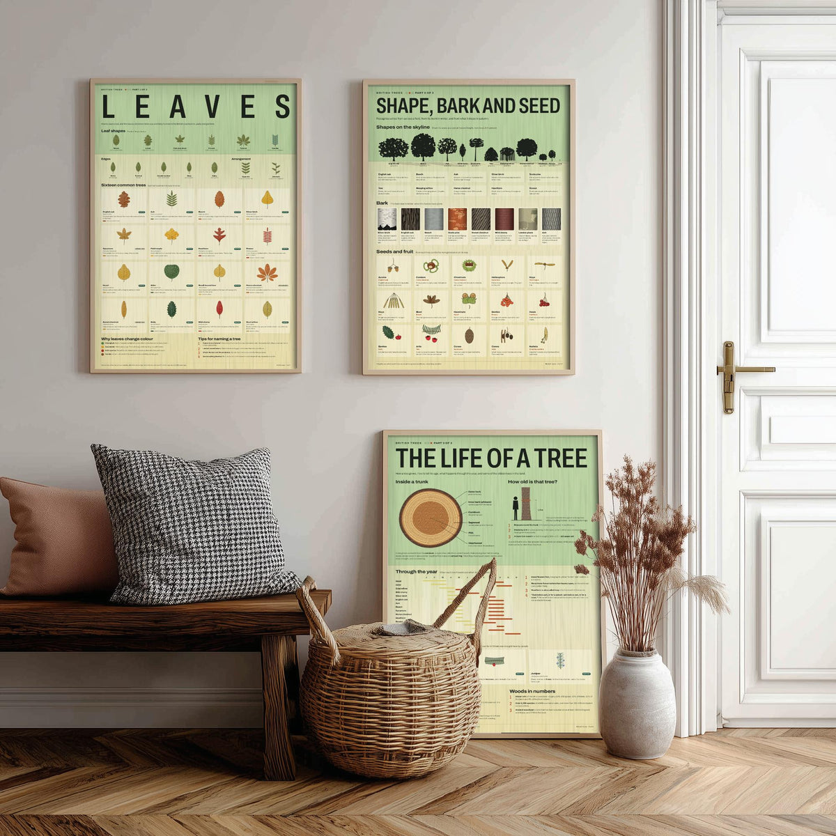 British Trees Set of Three Art Prints - Leaves, Shape Bark and Seed, The Life of a Tree - Nature Infographic Poster Illustration