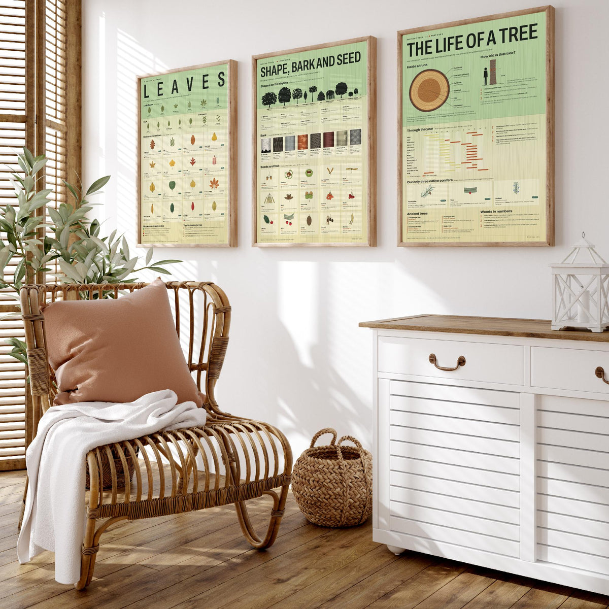 British Trees Set of Three Art Prints - Leaves, Shape Bark and Seed, The Life of a Tree - Nature Infographic Poster Illustration