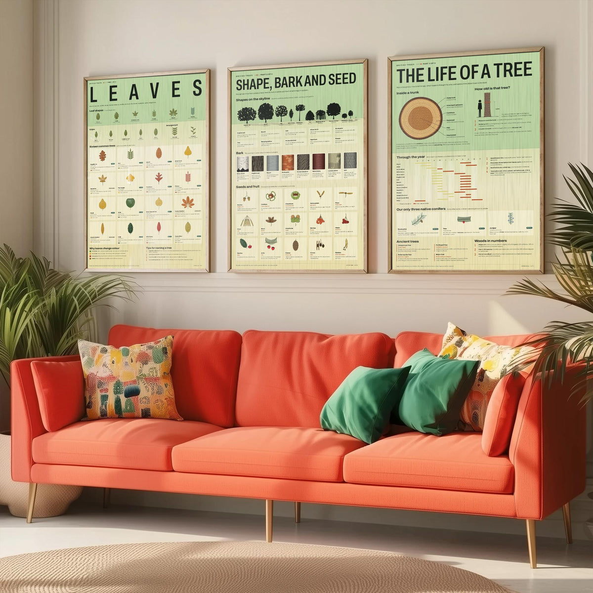 British Trees Set of Three Art Prints - Leaves, Shape Bark and Seed, The Life of a Tree - Nature Infographic Poster Illustration