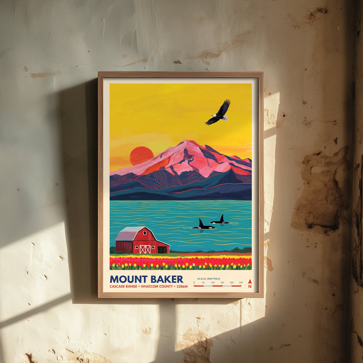 Mount Baker Travel Poster - Bald Eagle Orca Whales Illustration - Red Barn Tulip Fields Art Print - Washington Cascades 3/3