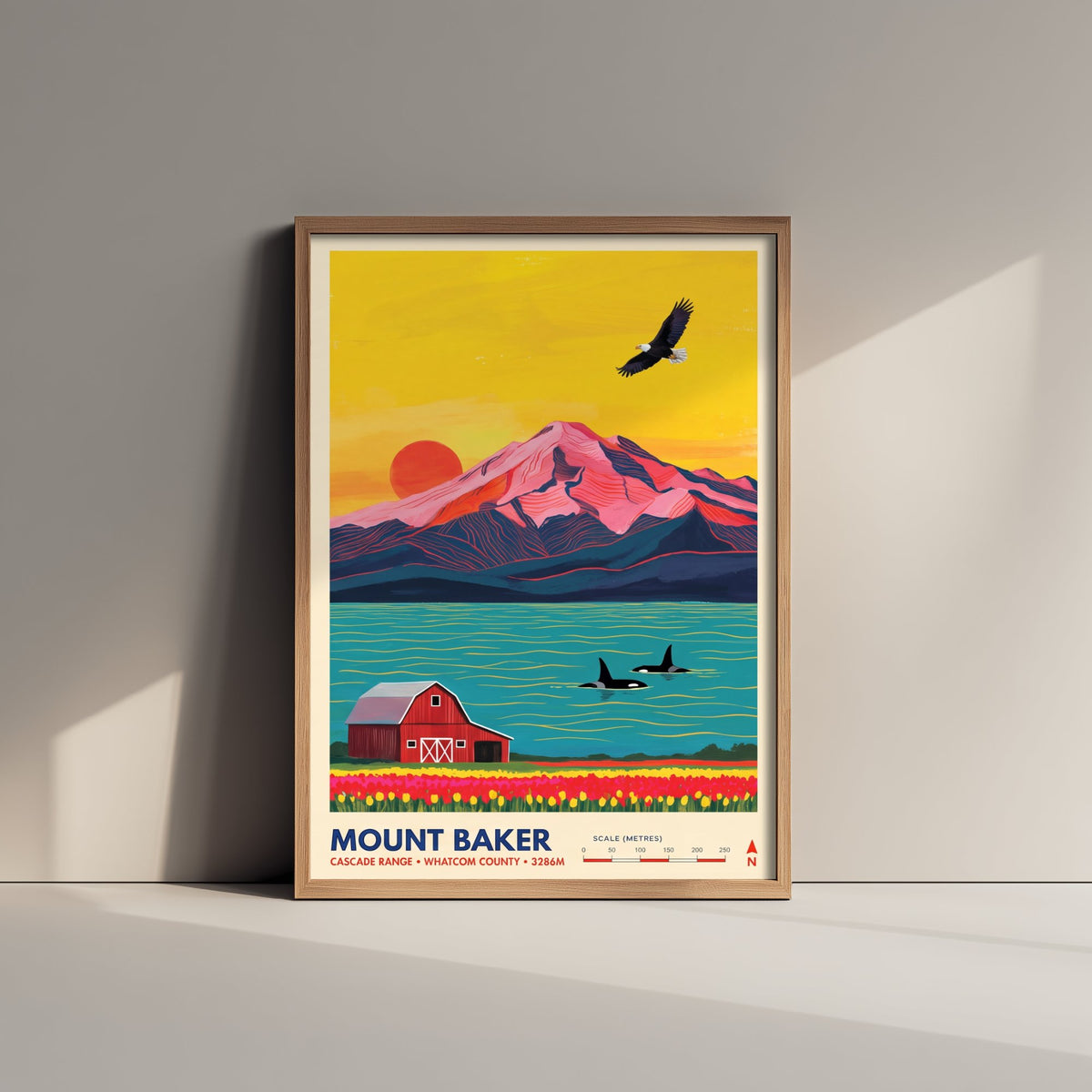 Mount Baker Travel Poster - Bald Eagle Orca Whales Illustration - Red Barn Tulip Fields Art Print - Washington Cascades 3/3
