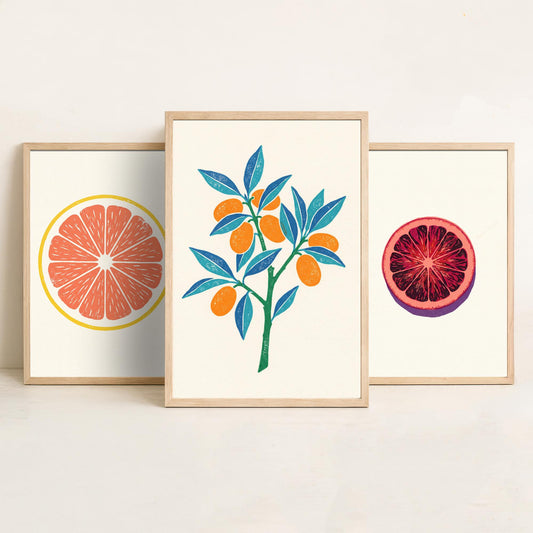 Clean Press Grapefruit Blood Orange Kumquat Set of Three Art Prints - Citrus Fruit Kitchen Decor - Linocut Style Illustration Poster V2