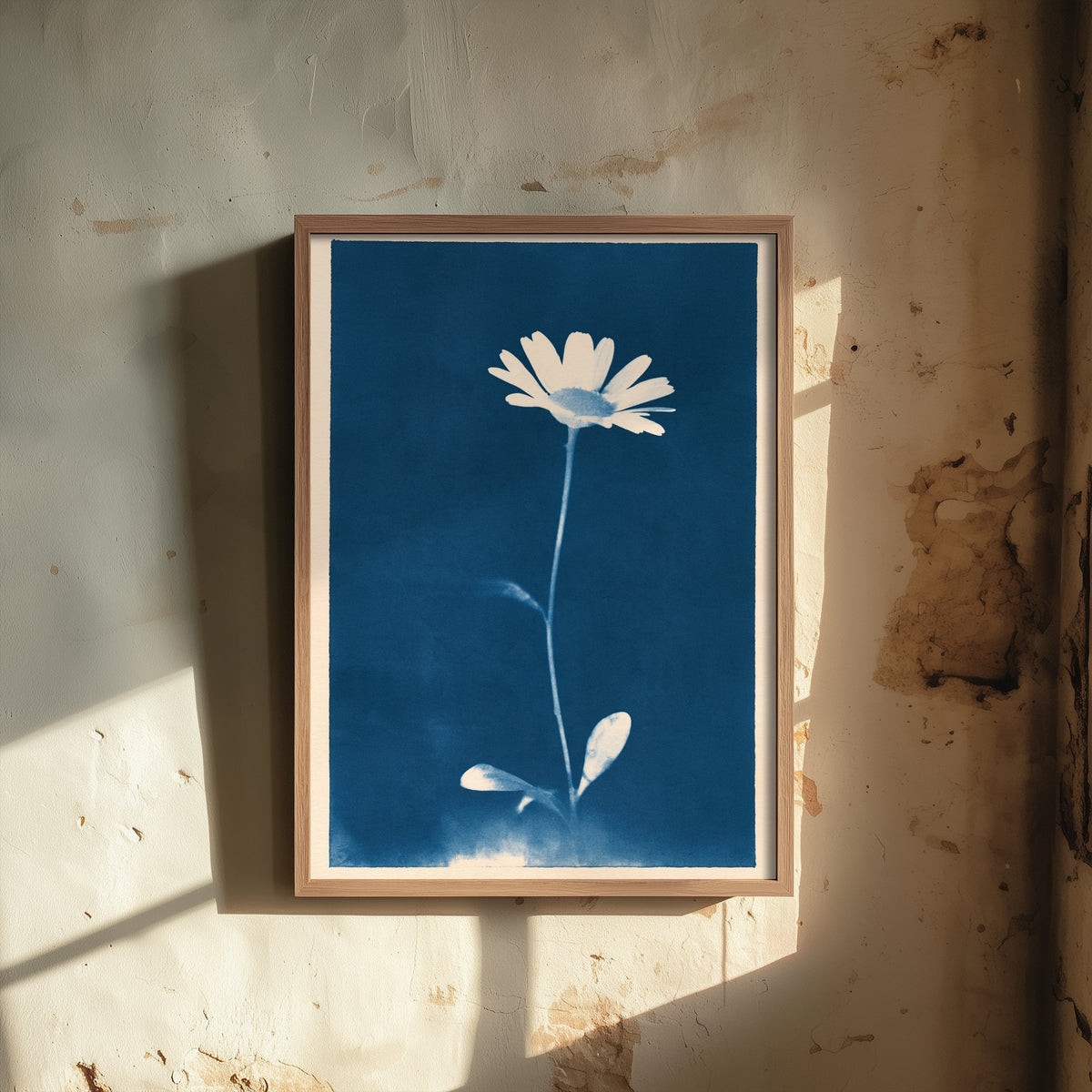 April Birth Flower Art Print - Daisy Poster - Blue Cyanotype Botanical Illustration - Birth Month Gift 04/12