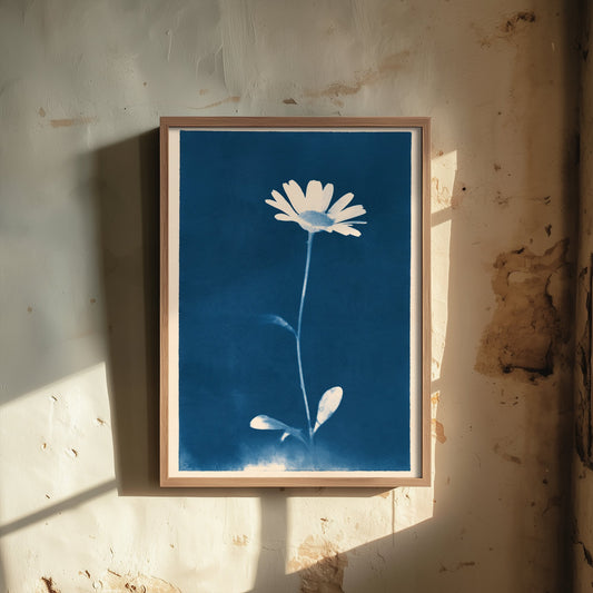 April Birth Flower Art Print - Daisy Poster - Blue Cyanotype Botanical Illustration - Birth Month Gift 04/12
