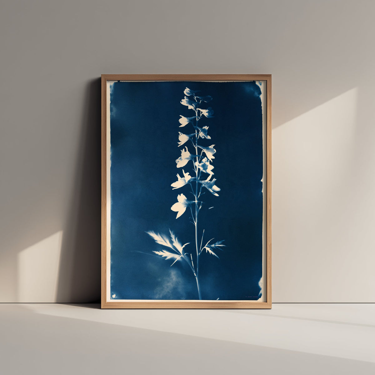 July Birth Flower Art Print - Larkspur Poster - Blue Cyanotype Botanical Illustration - Birth Month Gift 07/12