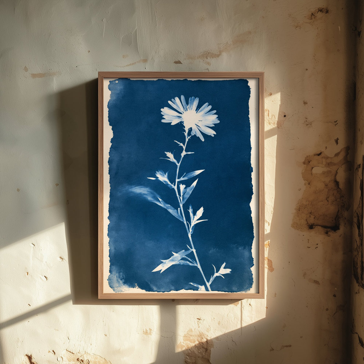September Birth Flower Art Print - Aster Poster - Blue Cyanotype Botanical Illustration - Birth Month Gift 09/12