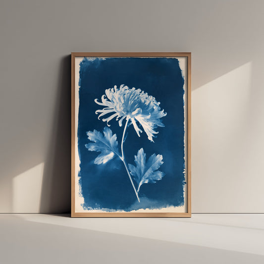 November Birth Flower Art Print - Chrysanthemum Poster - Blue Cyanotype Botanical Illustration - Birth Month Gift 11/12