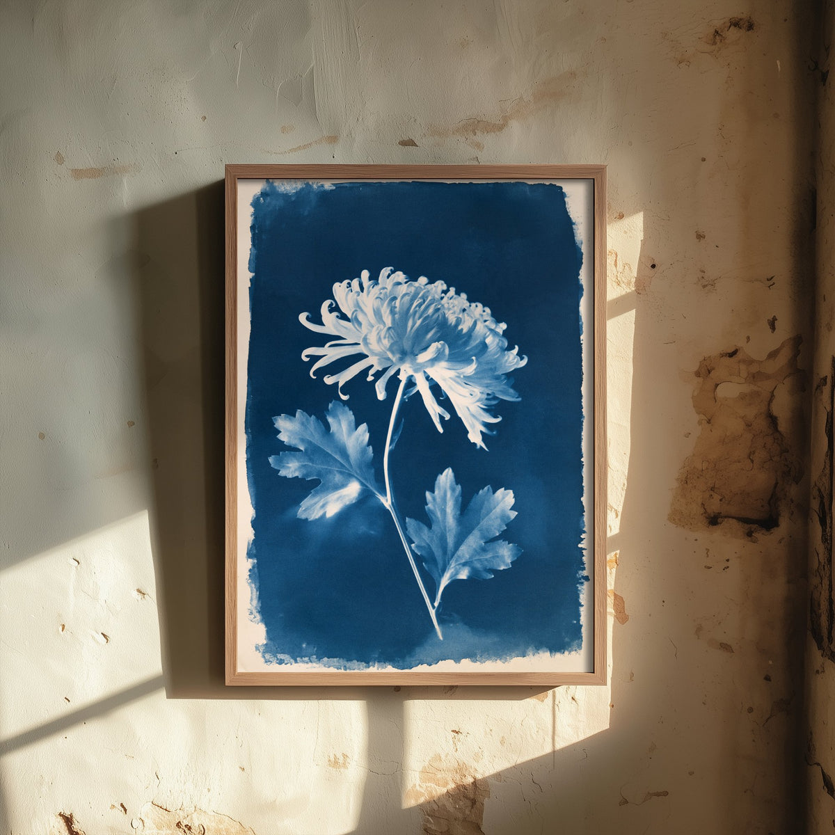 November Birth Flower Art Print - Chrysanthemum Poster - Blue Cyanotype Botanical Illustration - Birth Month Gift 11/12