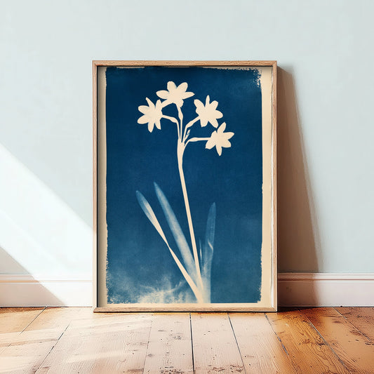December Birth Flower Art Print - Paperwhite Narcissus Poster - Blue Cyanotype Botanical Illustration - Birth Month Gift 12/12