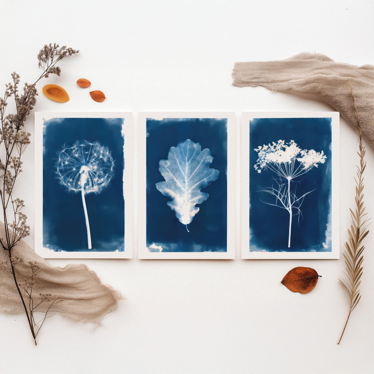 Cyanotype Botanical Set of Three Art Prints - Dandelion Clock, Oak Leaf, Cow Parsley - Blue Hedgerow Poster Illustration V2