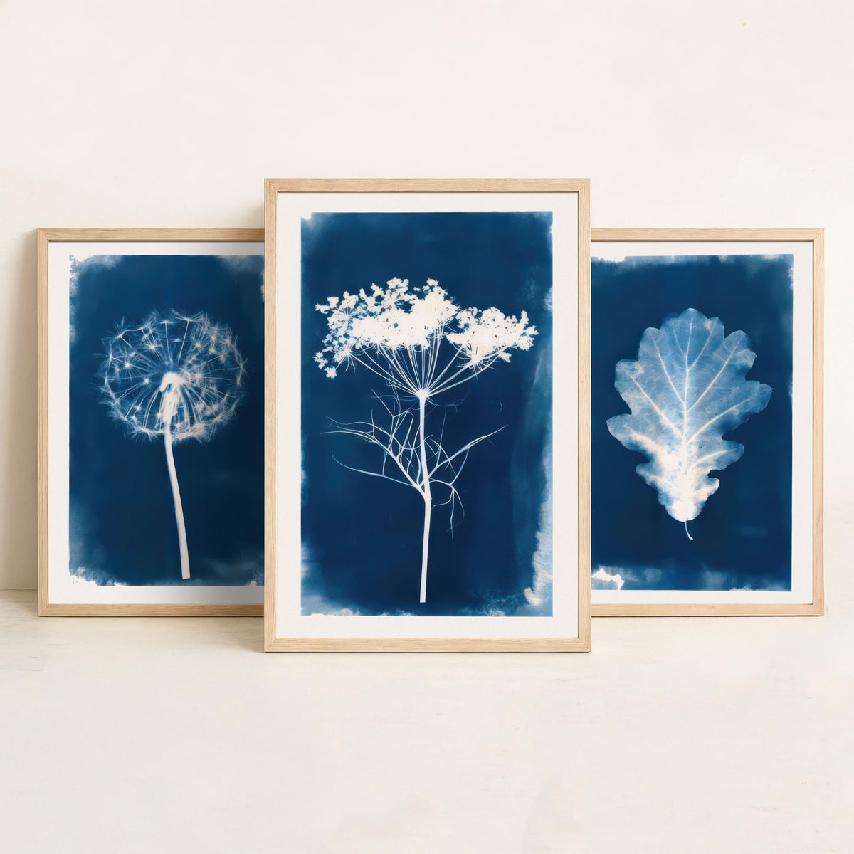Cyanotype Botanical Set of Three Art Prints - Dandelion Clock, Oak Leaf, Cow Parsley - Blue Hedgerow Poster Illustration V2