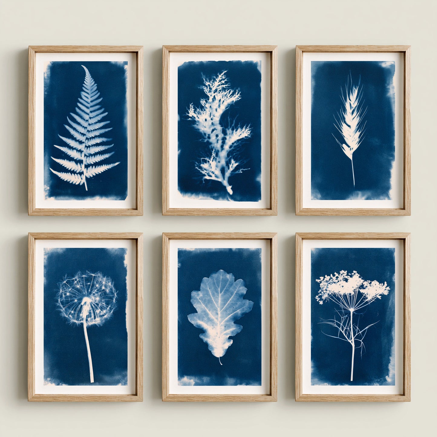 Set of Six Cyanotype Botanical Prints - 6 Prussian Blue Sun Photo - Fern, Seaweed, Wheat, Dandelion, Oak Leaf, Cow Parsley - Poster