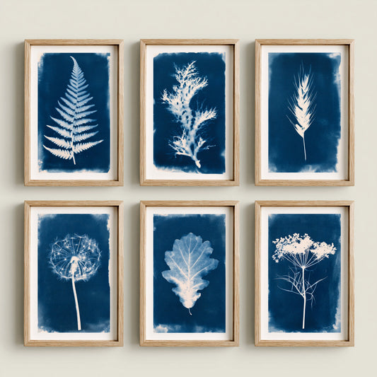 Set of Six Cyanotype Botanical Prints - 6 Prussian Blue Sun Photo - Fern, Seaweed, Wheat, Dandelion, Oak Leaf, Cow Parsley - Poster