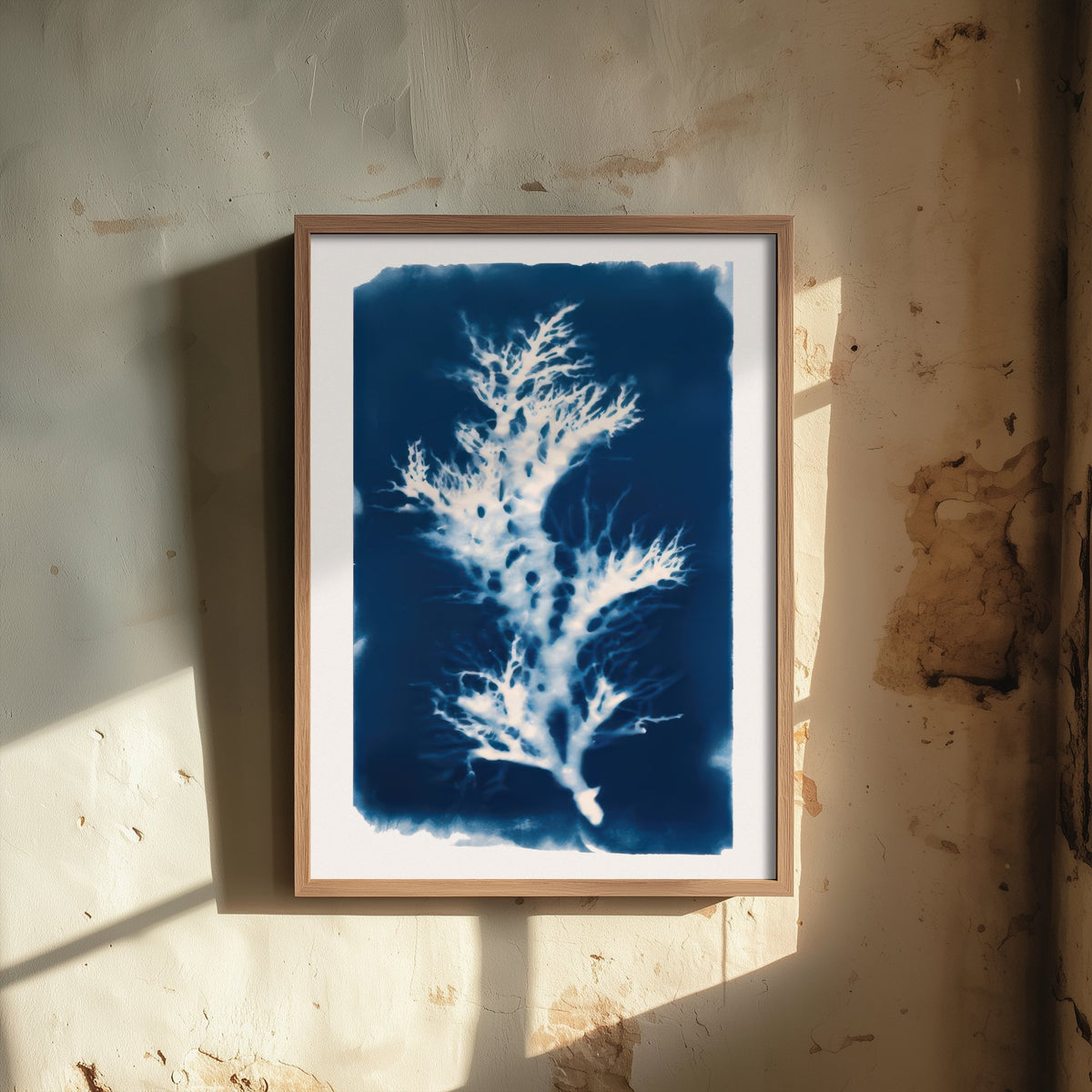 Seaweed Art Print - Prussian Blue Cyanotype Style Poster - Coastal Algae Botanical Illustration V1 2/3