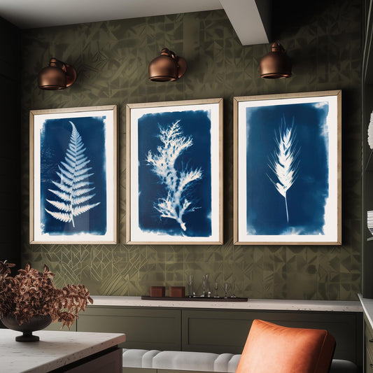 Cyanotype Botanical Set of Three Art Prints - Fern, Seaweed, Wheat - Prussian Blue Herbarium Poster Illustration V1