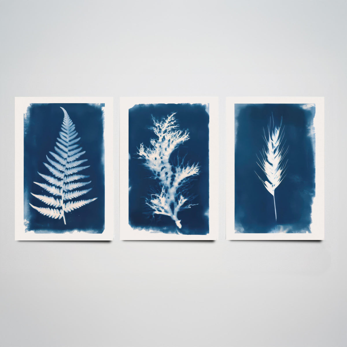 Cyanotype Botanical Set of Three Art Prints - Fern, Seaweed, Wheat - Prussian Blue Herbarium Poster Illustration V1
