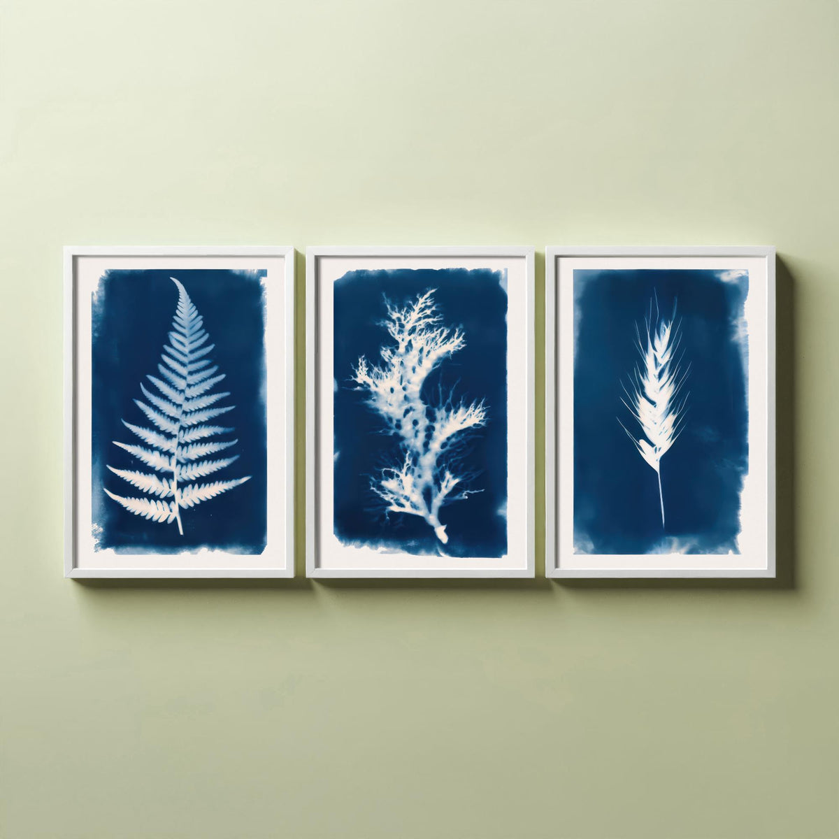 Cyanotype Botanical Set of Three Art Prints - Fern, Seaweed, Wheat - Prussian Blue Herbarium Poster Illustration V1