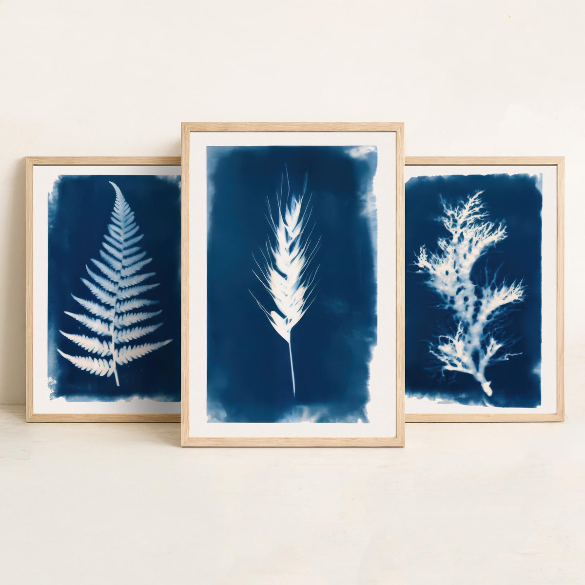 Cyanotype Botanical Set of Three Art Prints - Fern, Seaweed, Wheat - Prussian Blue Herbarium Poster Illustration V1