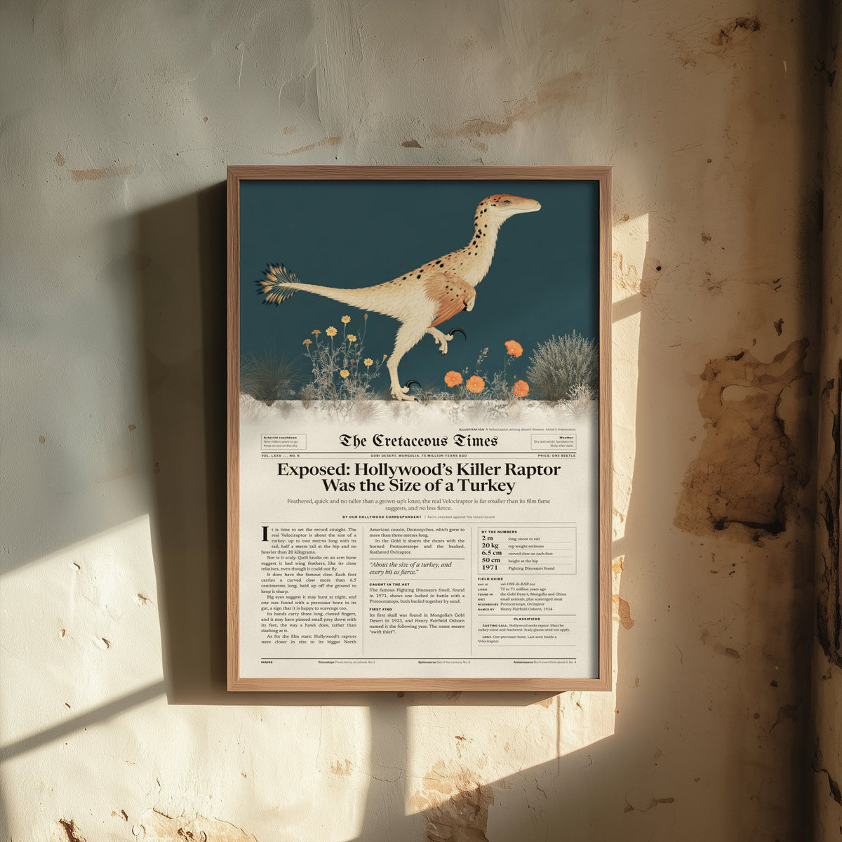 Velociraptor Art Print - Killer Raptor Was the Size of a Turkey - Feathered Dinosaur Newspaper Poster Illustration