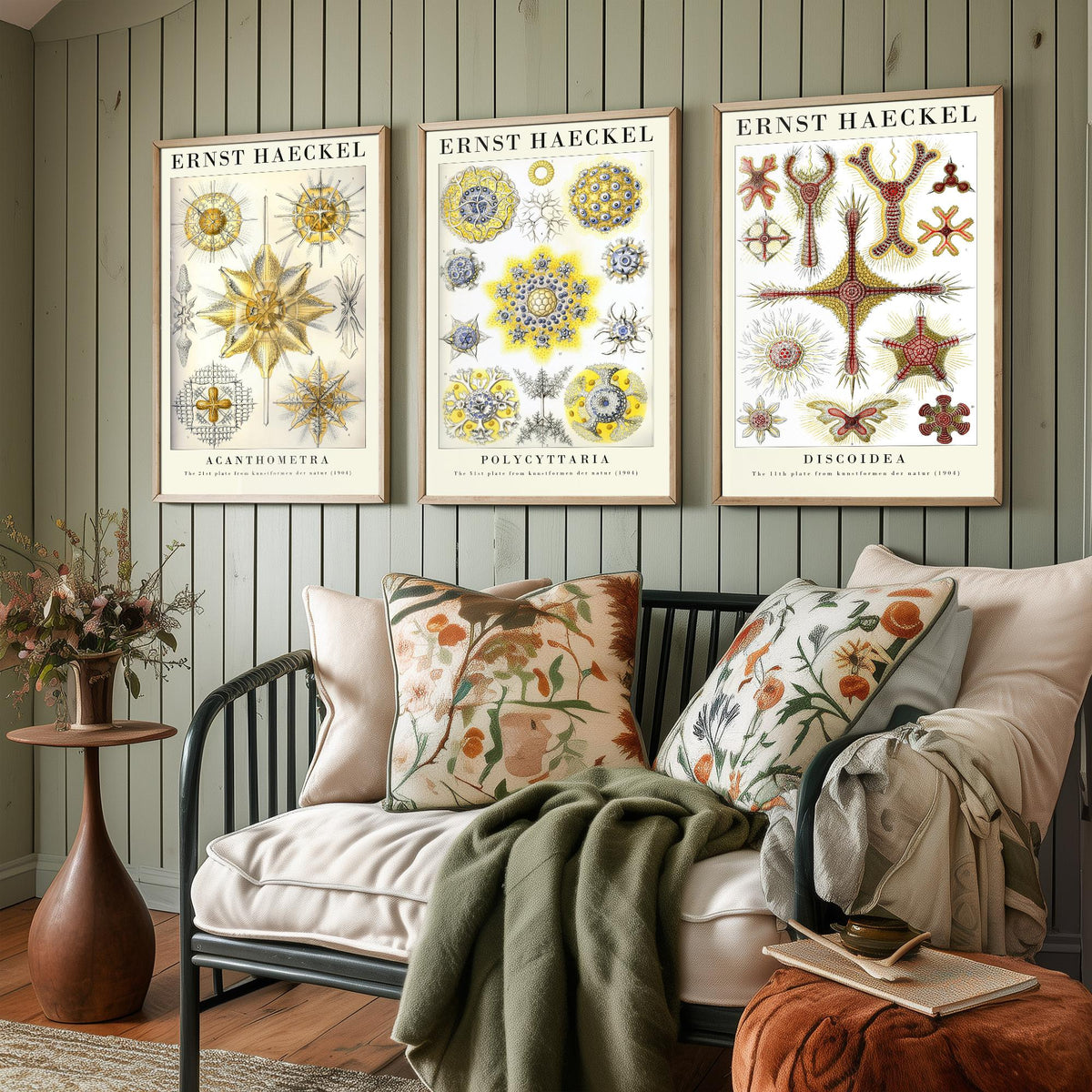 Ernst Haeckel Set of Three Gallery Art Prints - 3 Radiolarian Plankton Microscopic Sea Life Posters - Vintage Natural History Illustration