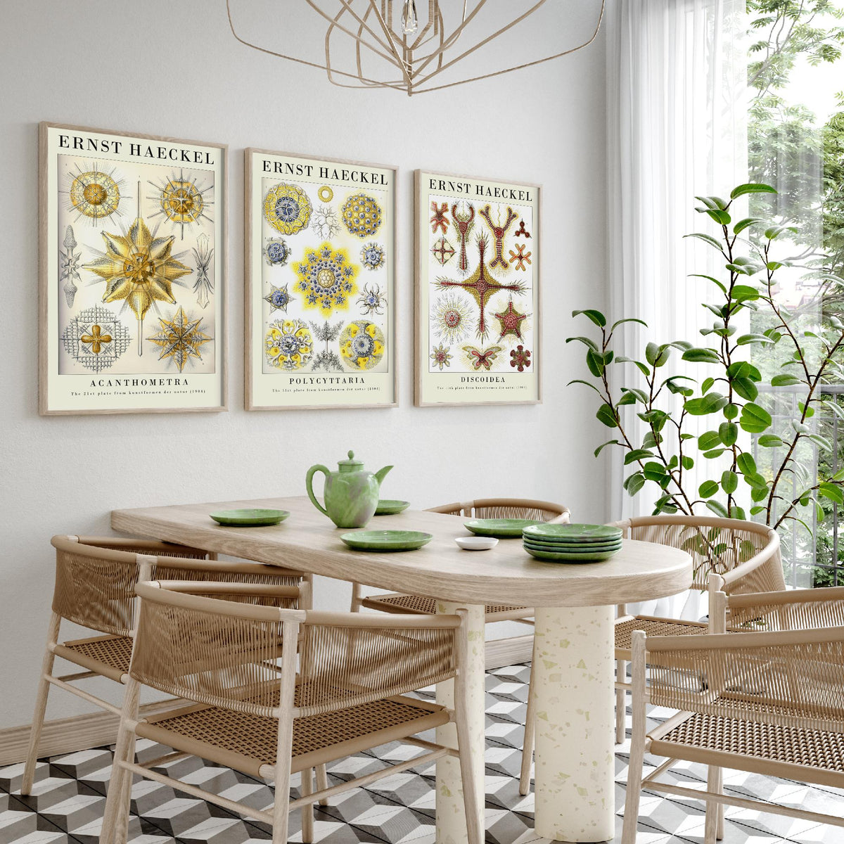 Ernst Haeckel Set of Three Gallery Art Prints - 3 Radiolarian Plankton Microscopic Sea Life Posters - Vintage Natural History Illustration