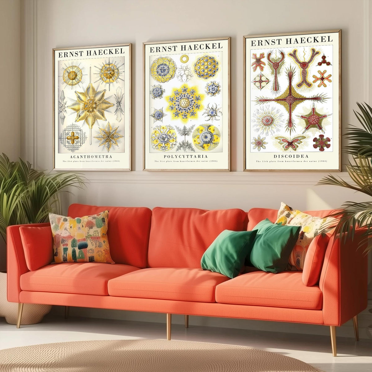 Ernst Haeckel Set of Three Gallery Art Prints - 3 Radiolarian Plankton Microscopic Sea Life Posters - Vintage Natural History Illustration