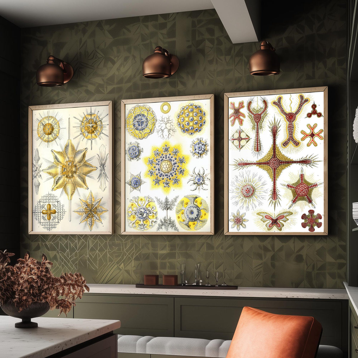 Ernst Haeckel Set of Three Art Prints - 3 Radiolarian Sea Plankton Microscopic Marine Life Posters - Clean Minimalist Illustration