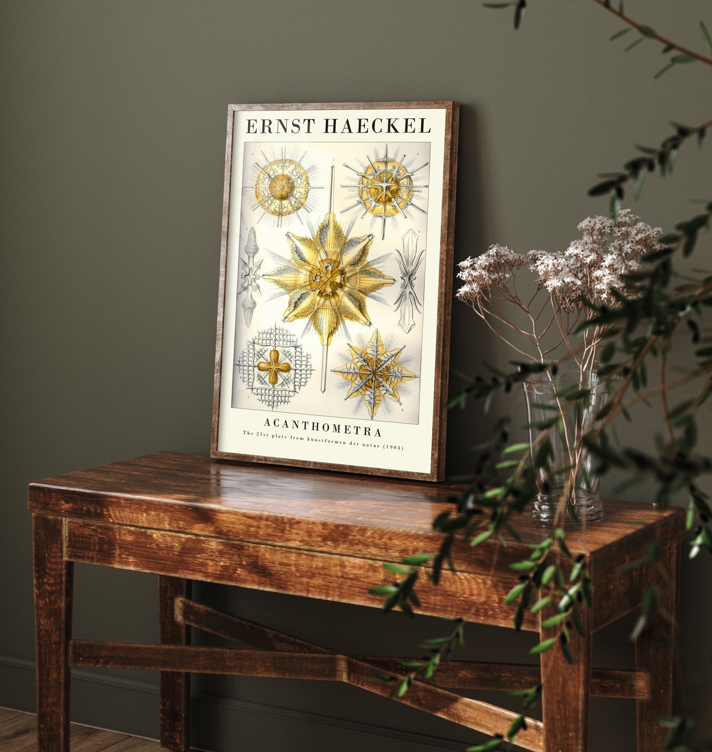 Radiolarians Art Print - Ernst Haeckel Poster - Acanthometra Plate 21 - Art Forms in Nature Vintage Illustration