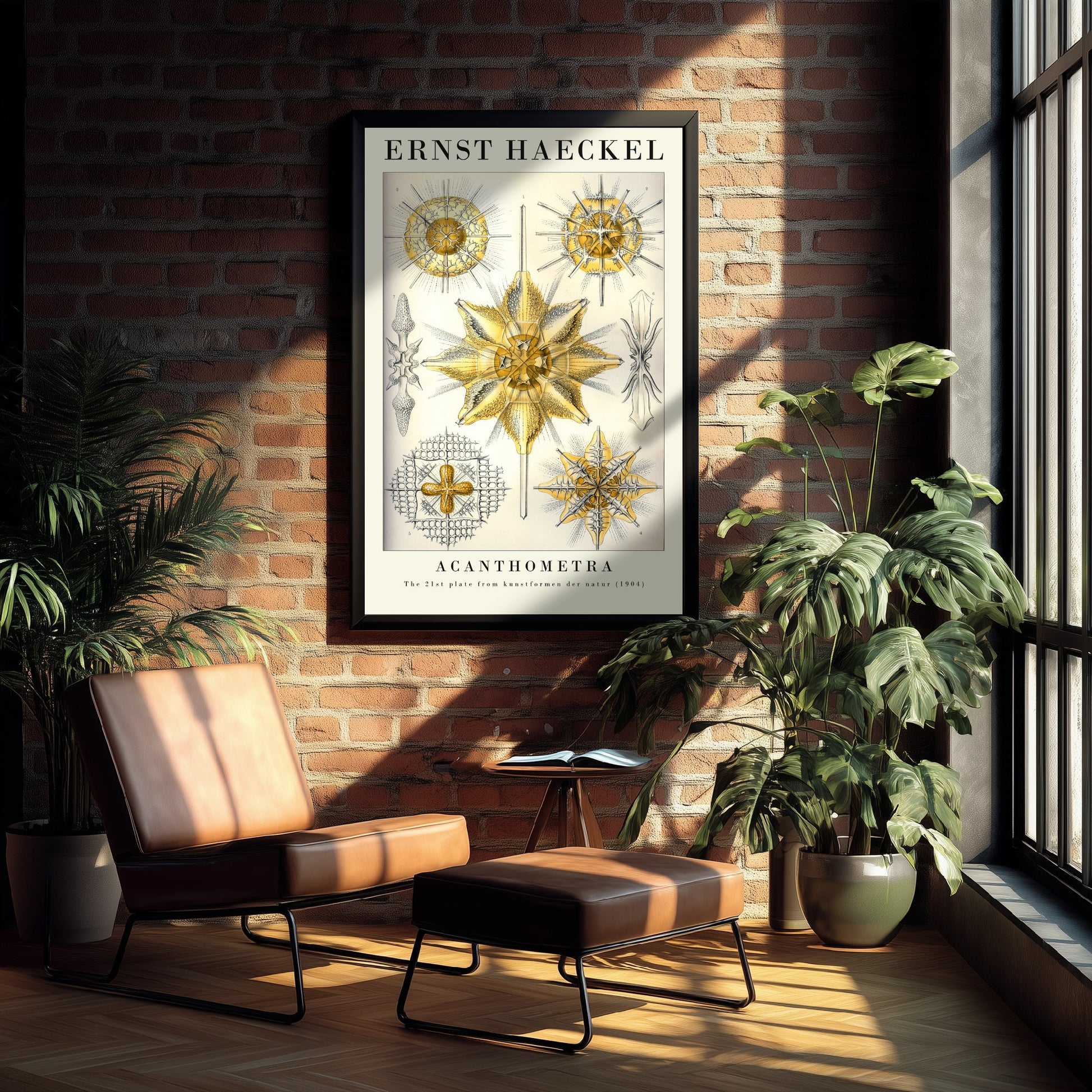 Radiolarians Art Print - Ernst Haeckel Poster - Acanthometra Plate 21 - Art Forms in Nature Vintage Illustration