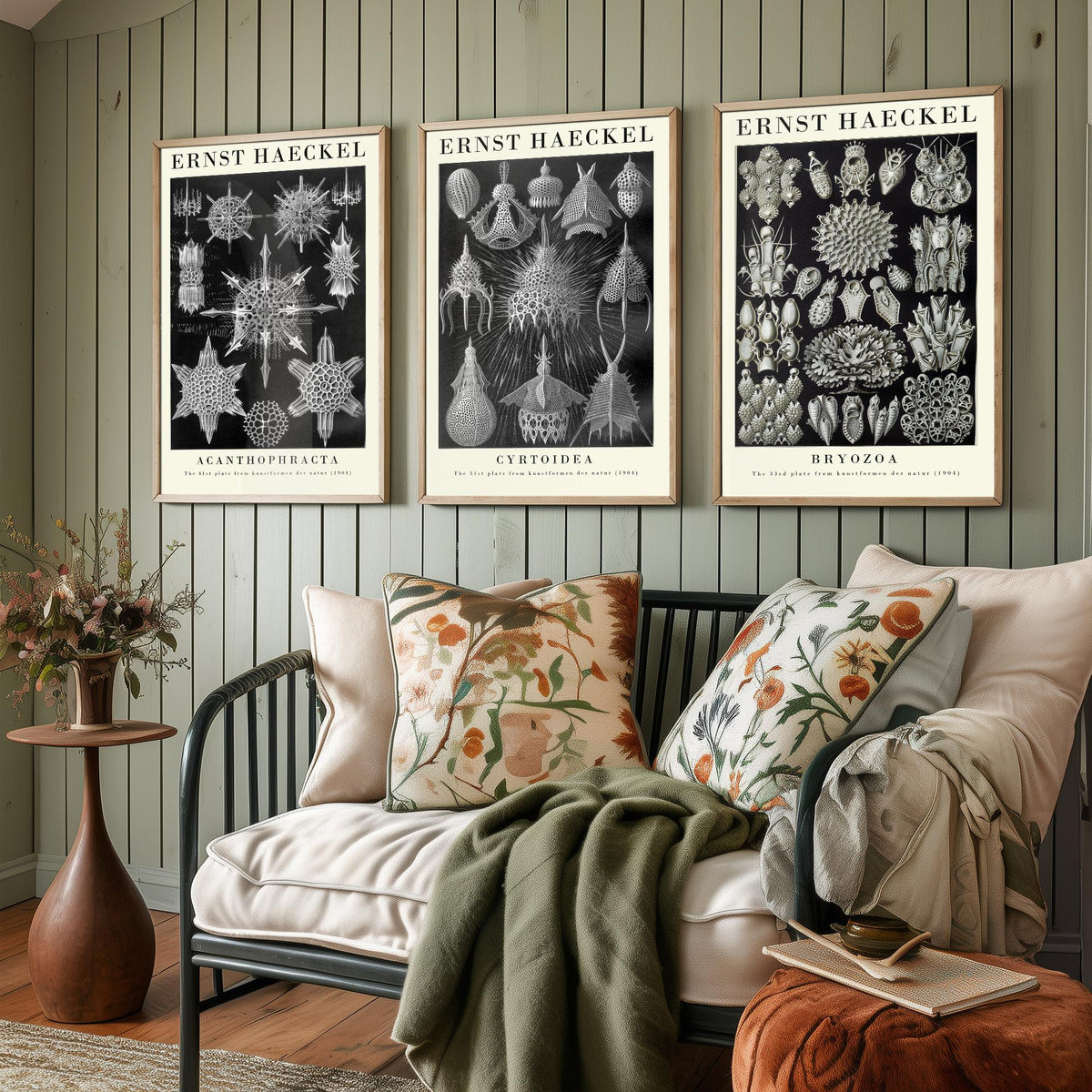 Ernst Haeckel Set of Three Gallery Art Prints - 3 Radiolarian Plankton Bryozoan Moss Animal Posters - Vintage Natural History Illustration