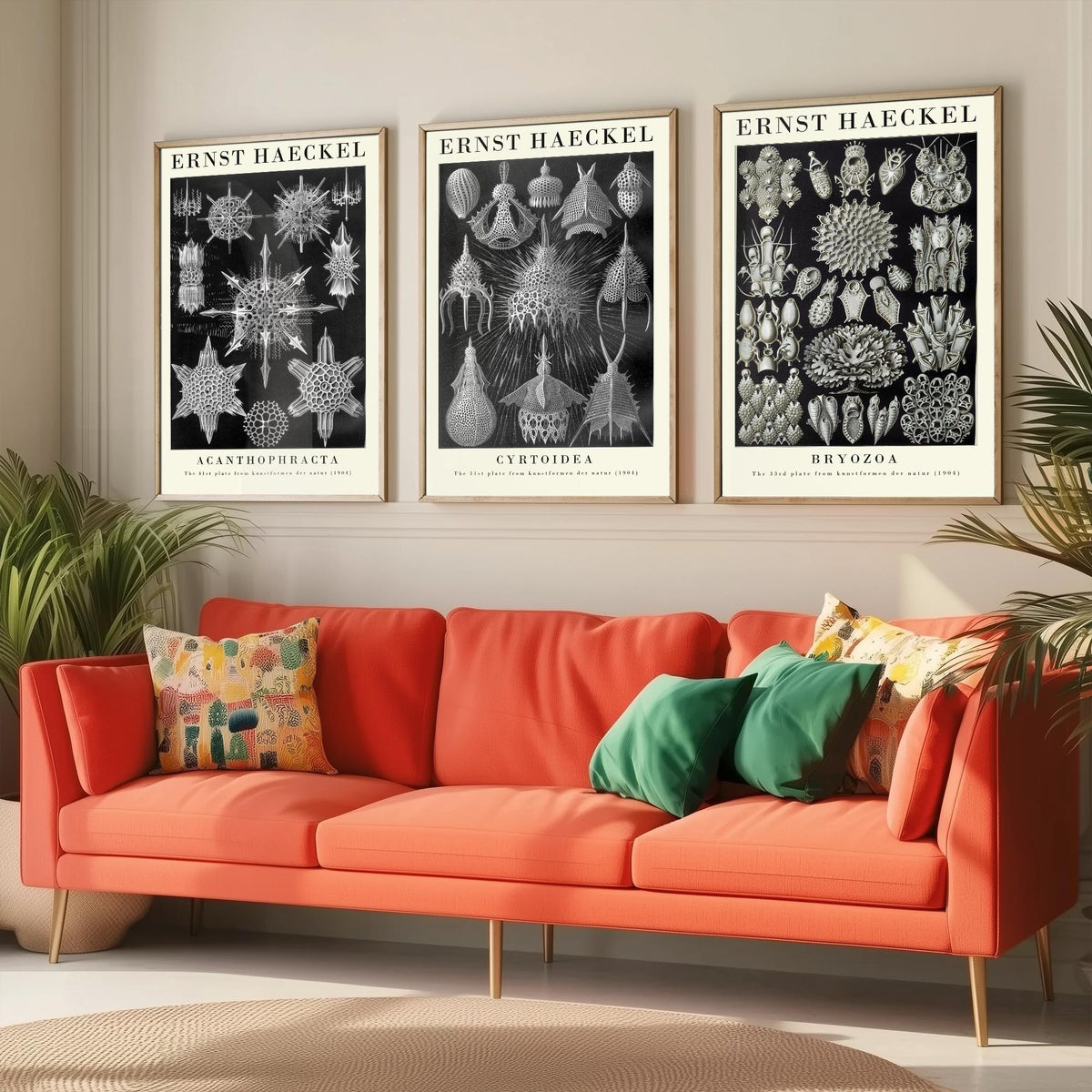 Ernst Haeckel Set of Three Gallery Art Prints - 3 Radiolarian Plankton Bryozoan Moss Animal Posters - Vintage Natural History Illustration