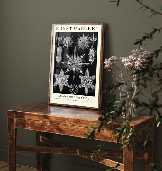 Radiolarians Art Print - Ernst Haeckel Poster - Acanthophracta Plate 41 - Black Art Forms in Nature Illustration