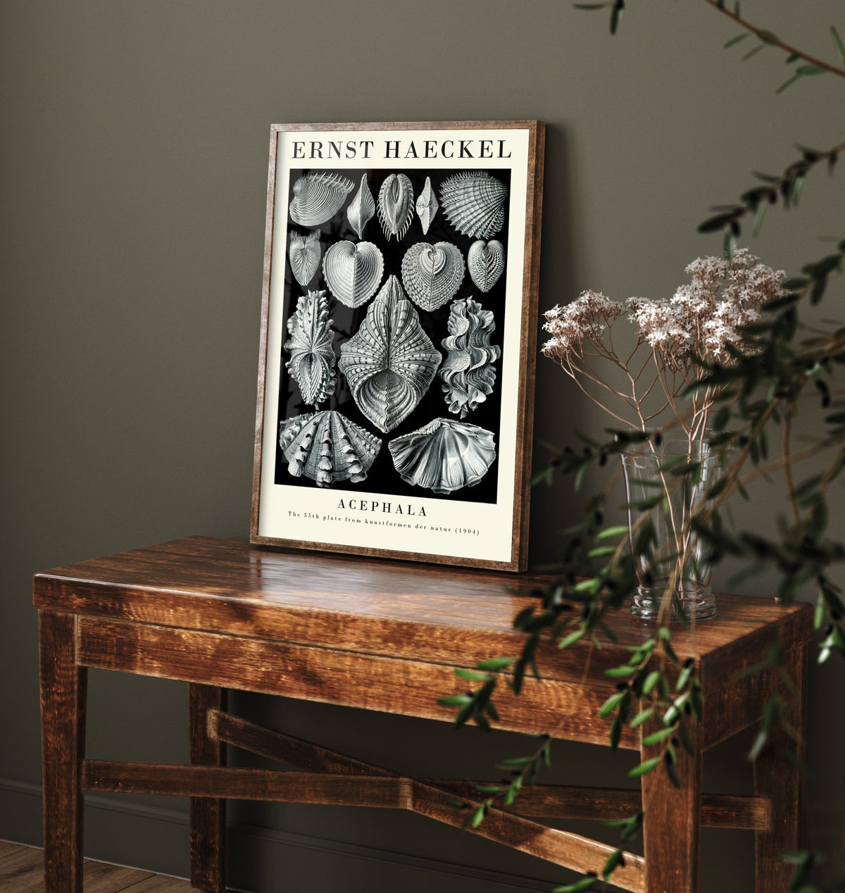 Seashells Art Print - Ernst Haeckel Poster - Bivalve Clams Acephala Plate 55 - Art Forms in Nature Illustration