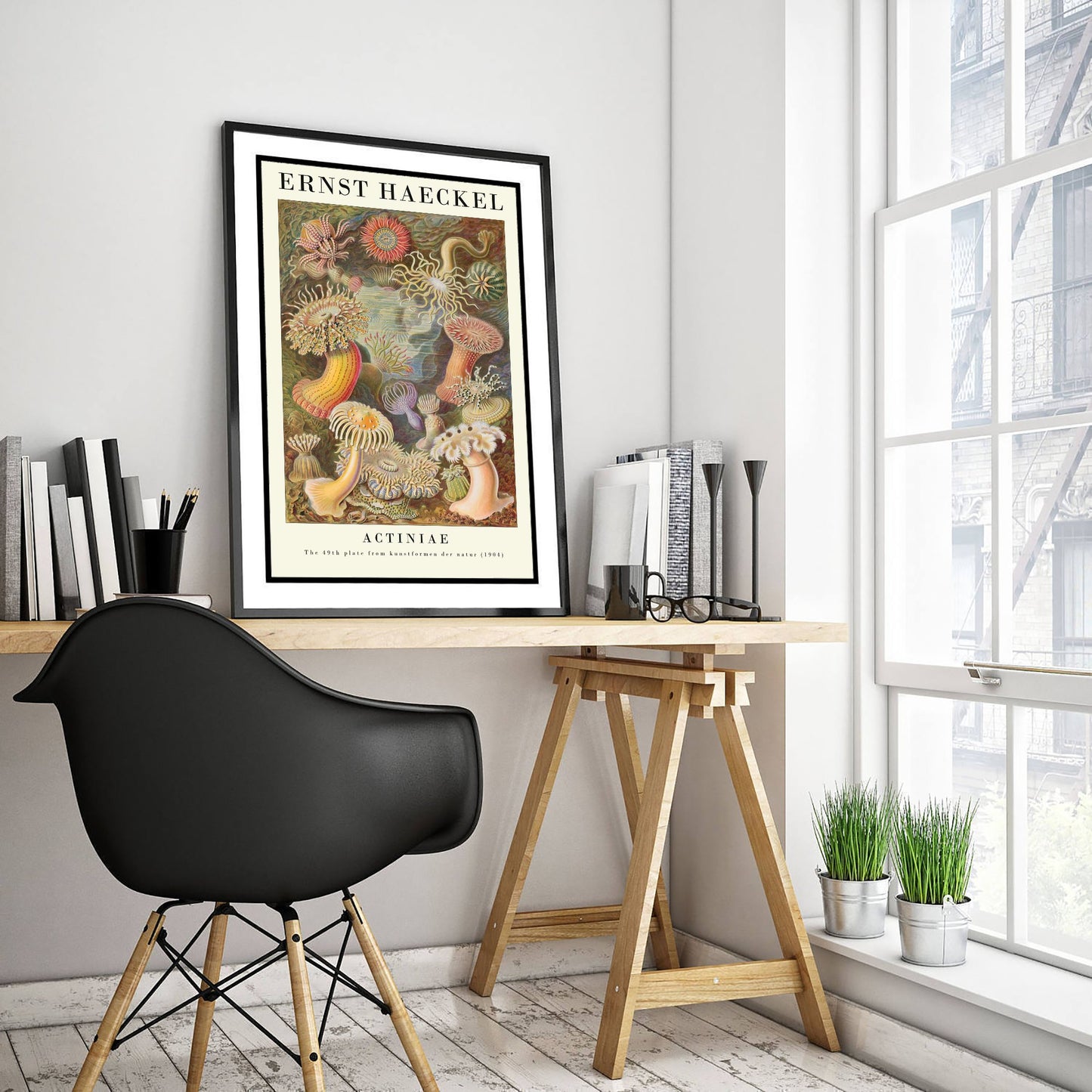 Sea Anemones Art Print - Ernst Haeckel Poster - Actiniae Plate 49 - Art Forms in Nature Vintage Illustration