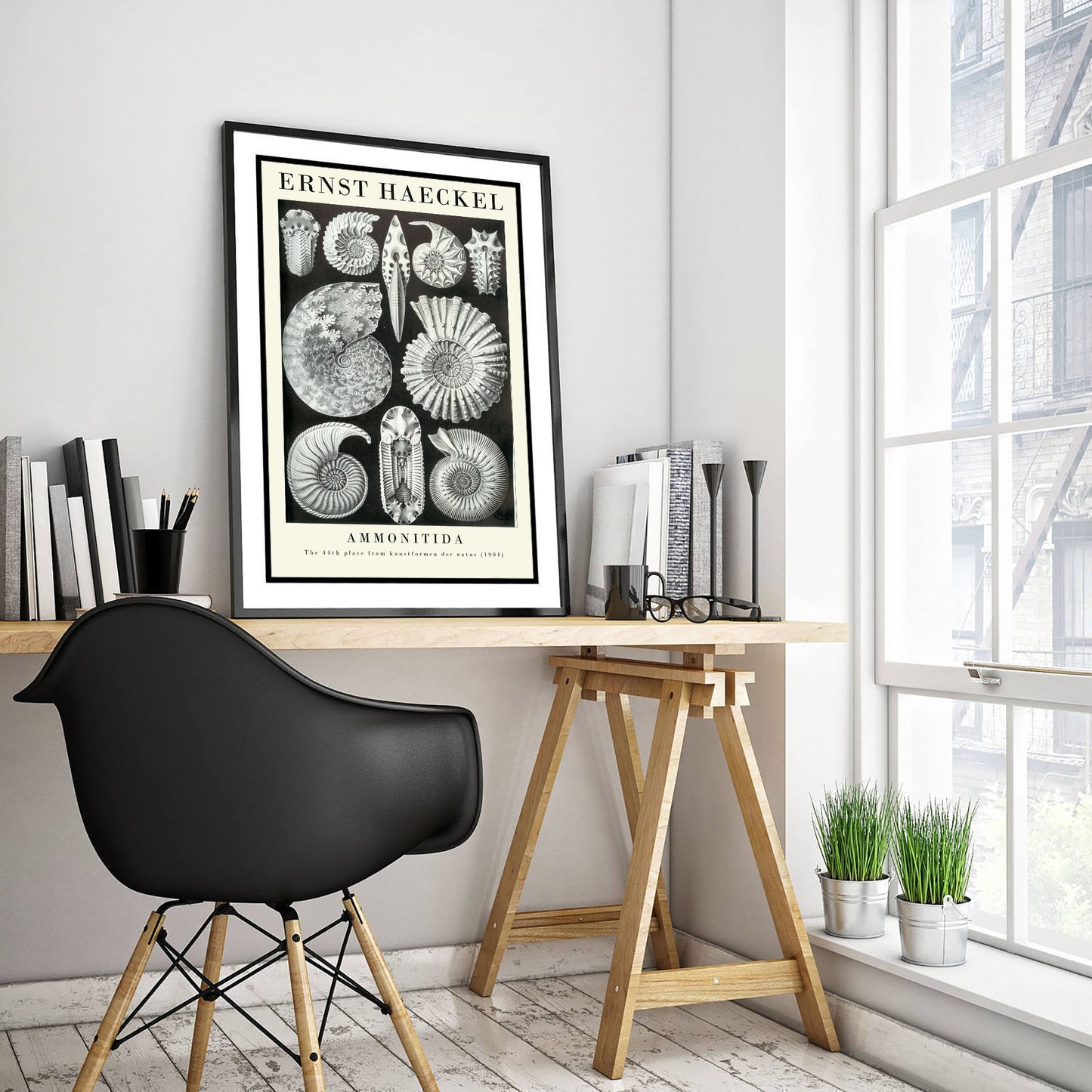 Ammonite Fossils Art Print - Ernst Haeckel Poster - Ammonitida Plate 44 - Art Forms in Nature Illustration