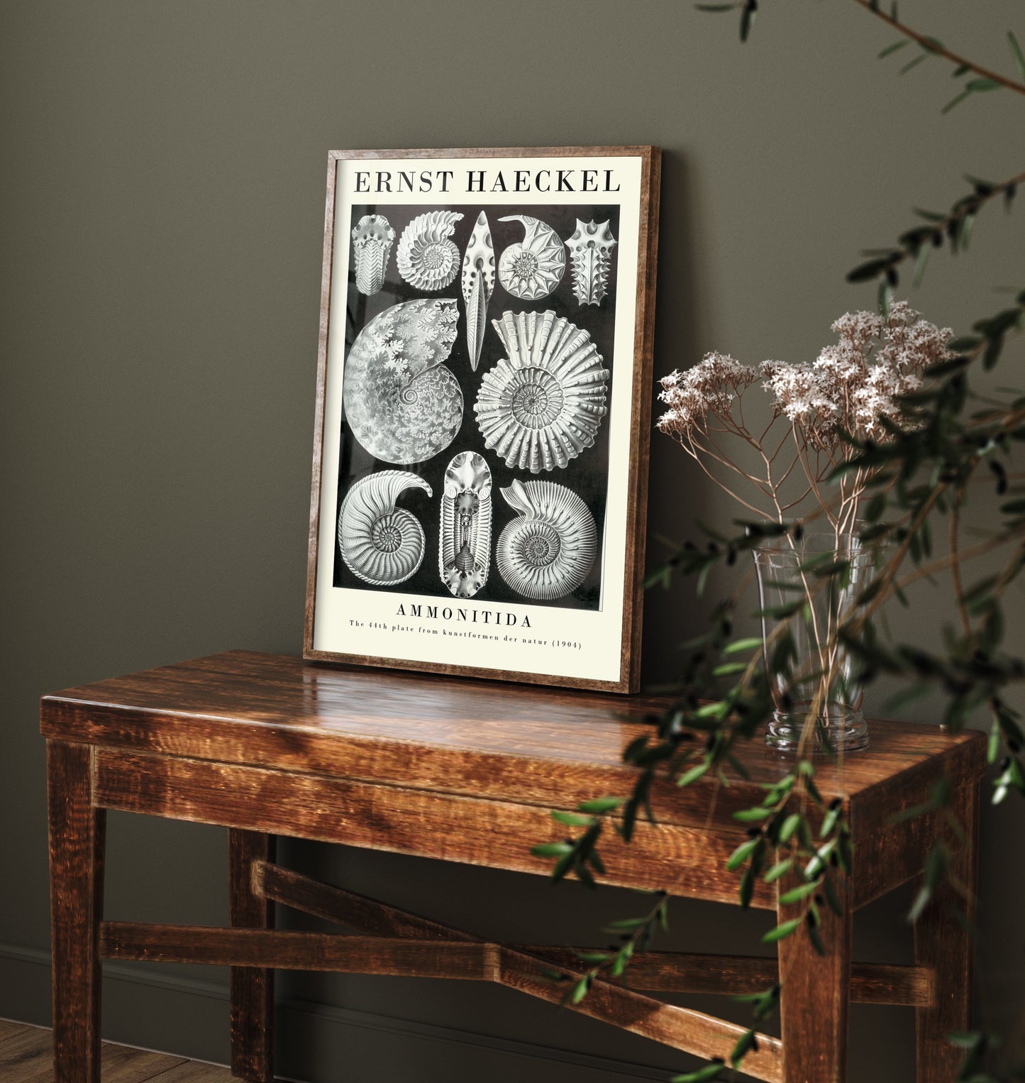 Ammonite Fossils Art Print - Ernst Haeckel Poster - Ammonitida Plate 44 - Art Forms in Nature Illustration