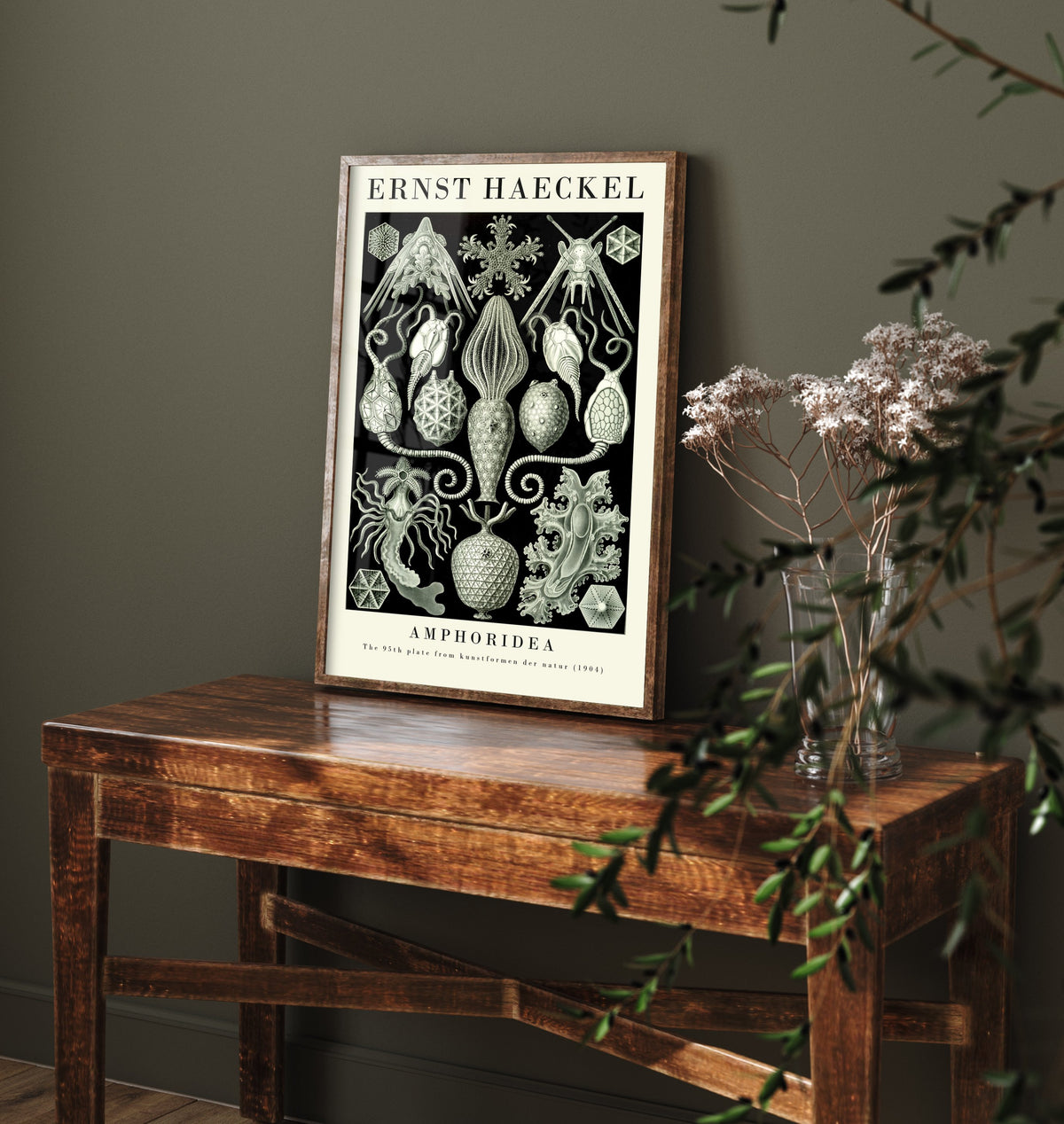 Cystoid Fossils Art Print - Ernst Haeckel Poster - Amphoridea Plate 95 - Art Forms in Nature Illustration