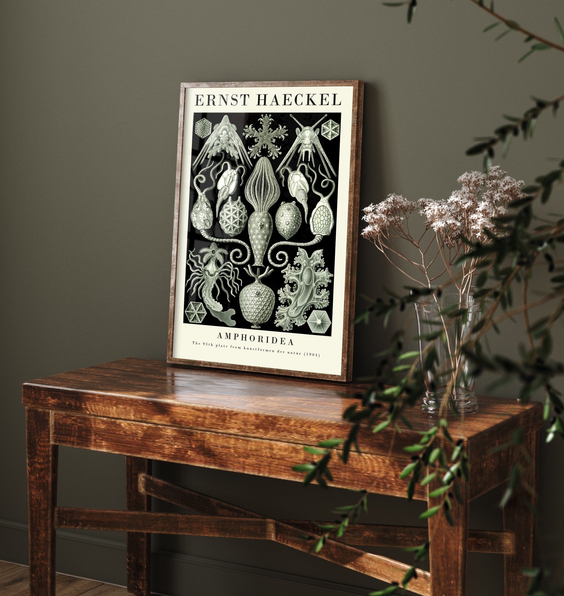 Cystoid Fossils Art Print - Ernst Haeckel Poster - Amphoridea Plate 95 - Art Forms in Nature Illustration