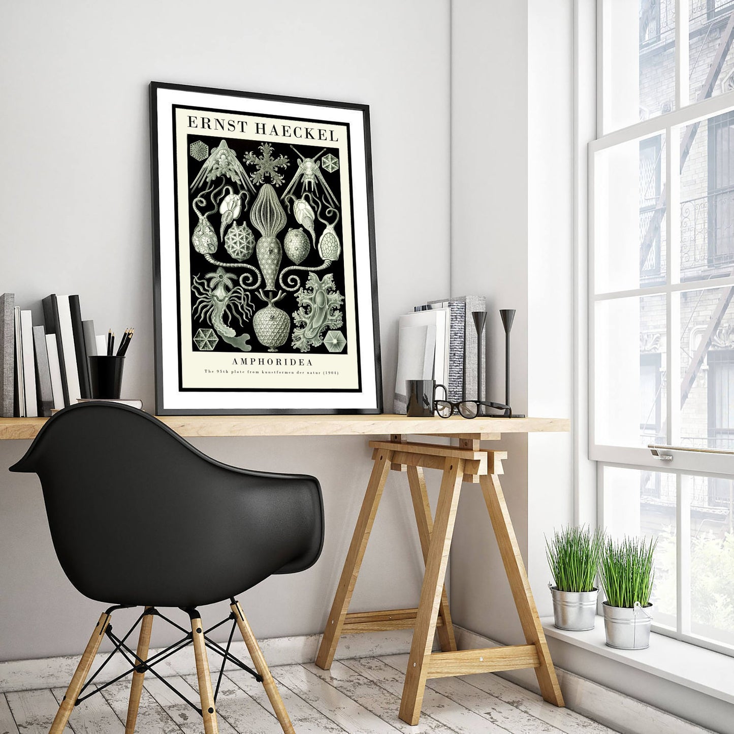 Cystoid Fossils Art Print - Ernst Haeckel Poster - Amphoridea Plate 95 - Art Forms in Nature Illustration