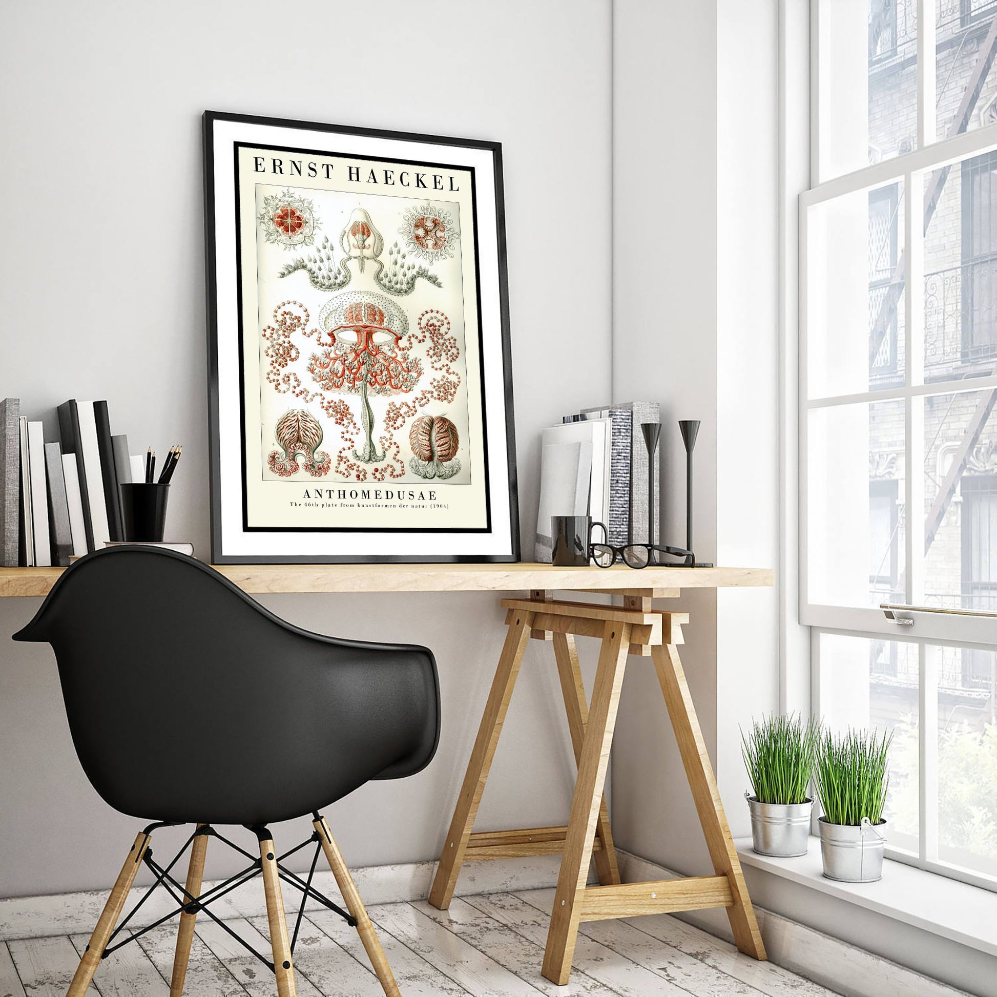 Ernst Haeckel Anthomedusae Art Print - Vintage Jellyfish Illustration Poster - Art Forms in Nature 1904 - Sea Life 1/3