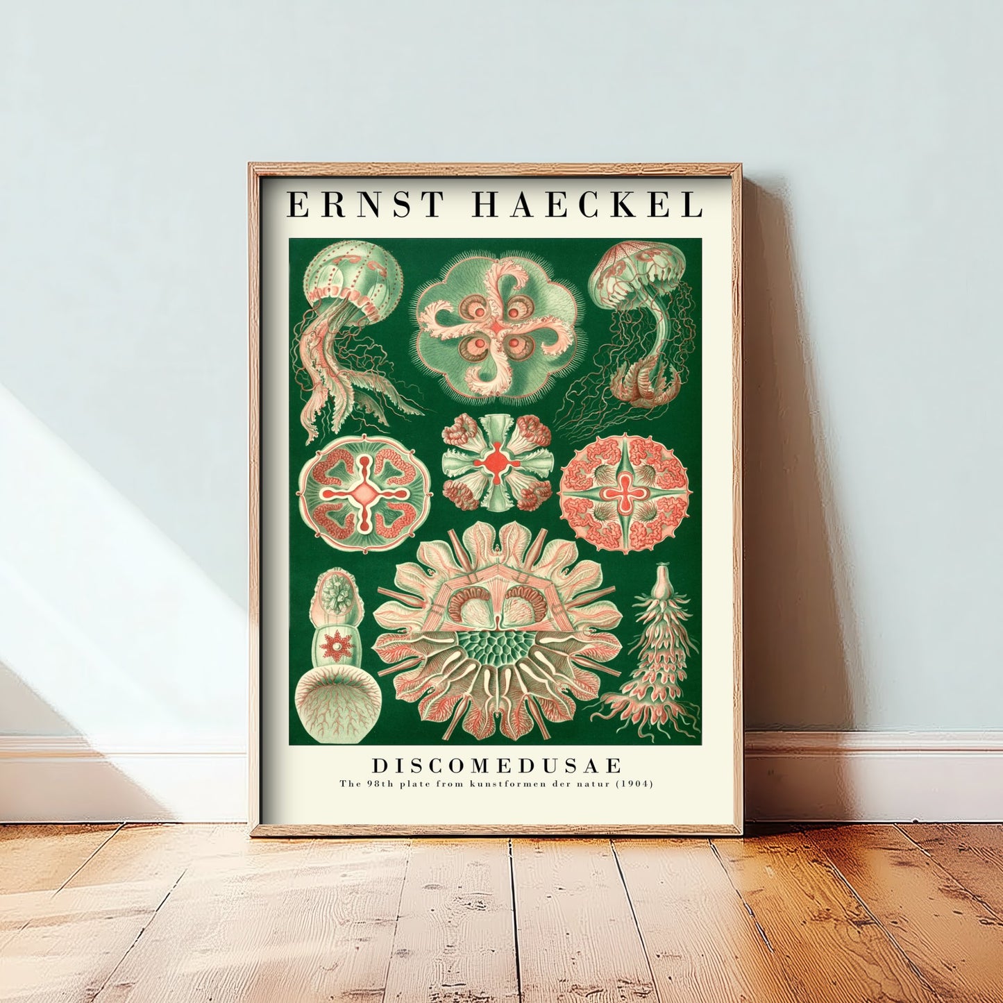 Ernst Haeckel Discomedusae Art Print - Vintage Jellyfish Illustration Poster - Art Forms in Nature 1904 - Sea Life 2/3