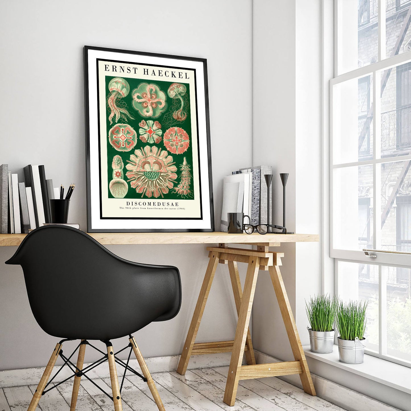 Ernst Haeckel Discomedusae Art Print - Vintage Jellyfish Illustration Poster - Art Forms in Nature 1904 - Sea Life 2/3